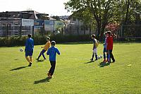 IMG 9060