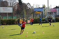 IMG 9061