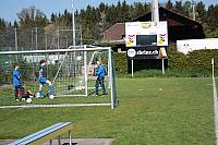 IMG 9081