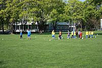 IMG 9089