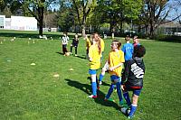 IMG 9093