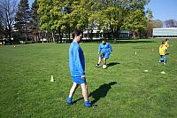 IMG 9096