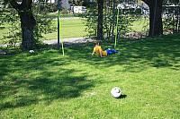 IMG 9106