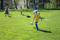 IMG 9111