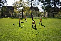 IMG 9116
