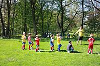 IMG 9119