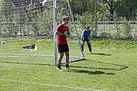 IMG 9131