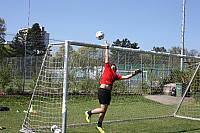 IMG 9144
