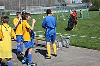 IMG 9145