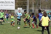 Trainingswoche 2019 0217