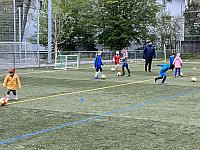 IMG 0752