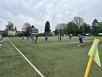 IMG 0768