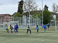 IMG 0802