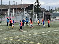 IMG 0809