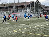 IMG 0811