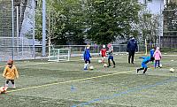 IMG 0752