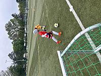 IMG 0760
