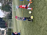 IMG 0763