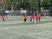 IMG 0803