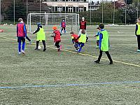 IMG 0806