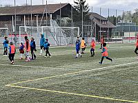 IMG 0810