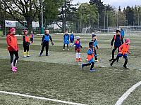 IMG 0813